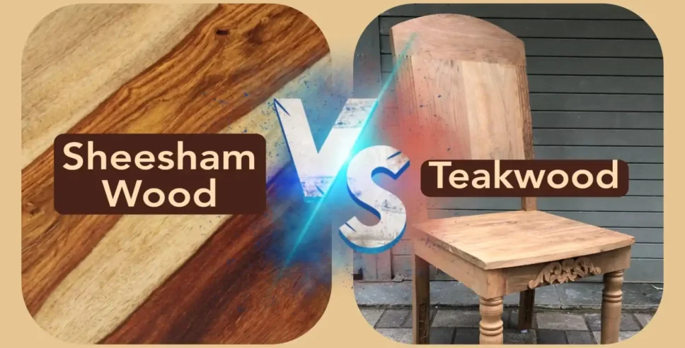 a Teak wood chair and a Sheesham wood table - Sheesham Vs Teak wood