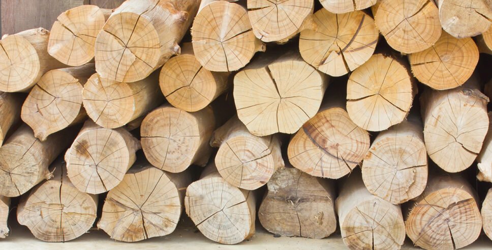 a pile of cut logs of Teak wood